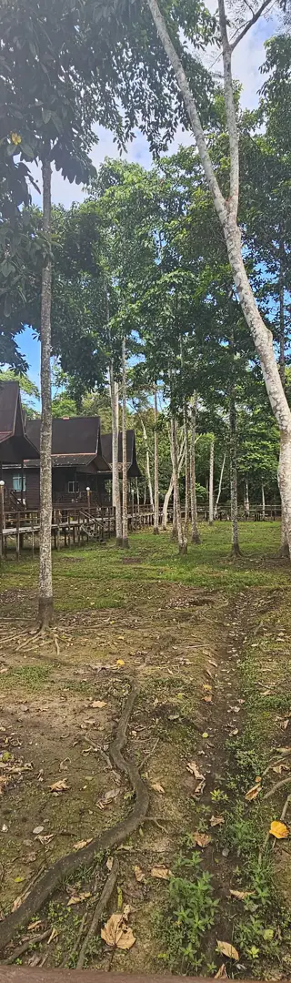 Unsere Lodge inmitten des Dschungels von Borneo